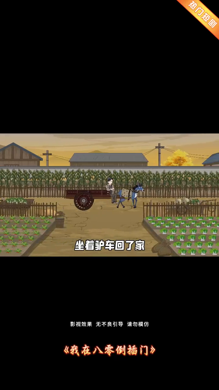 我在八零倒插门封面