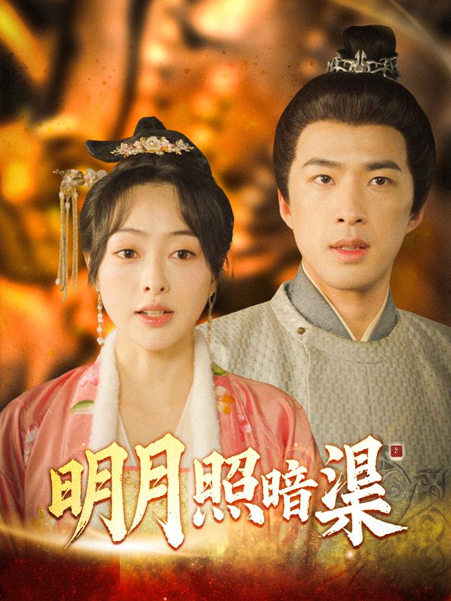 明月照暗渠封面