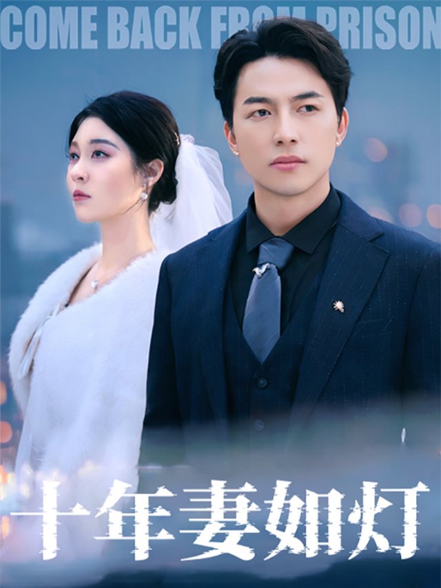 十年妻如灯封面