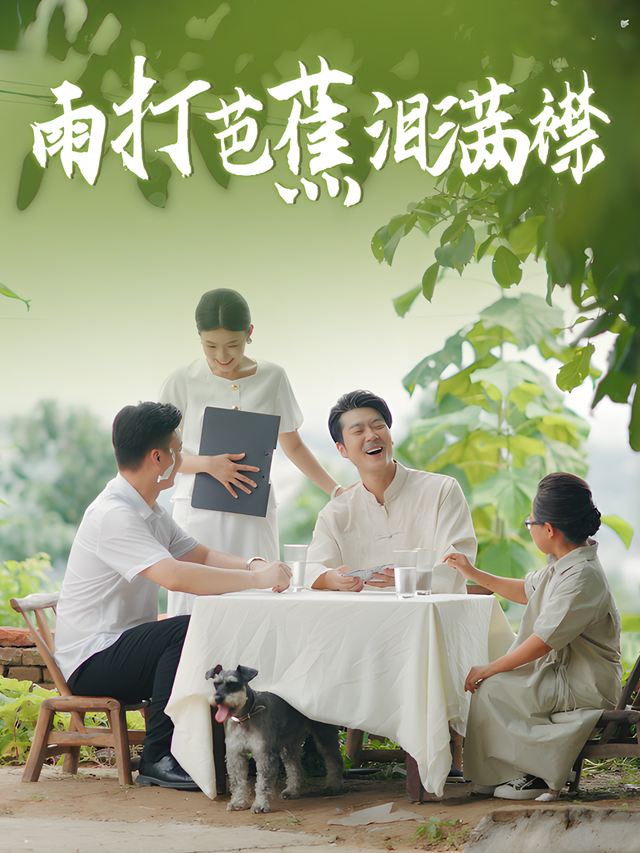 雨打芭蕉泪满襟封面