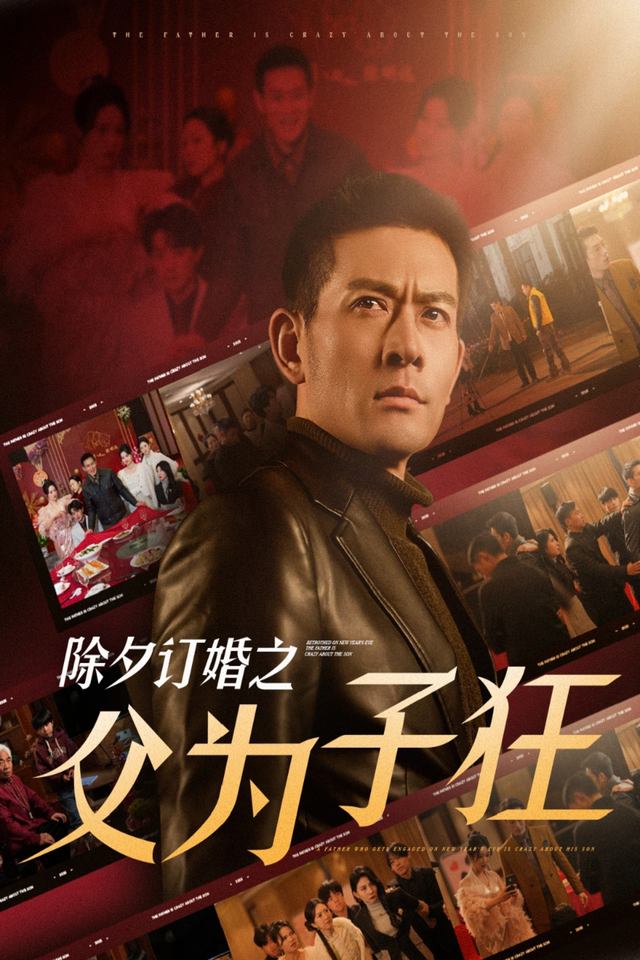除夕订婚之父为子狂封面