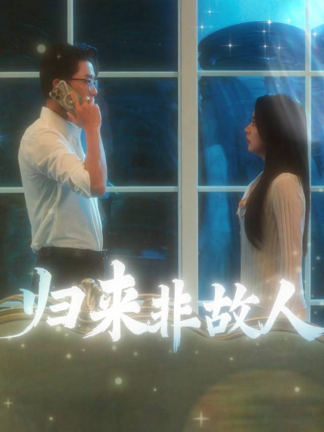 归来非故人封面