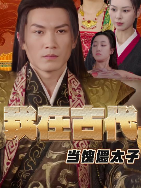我在古代当傀儡太子封面