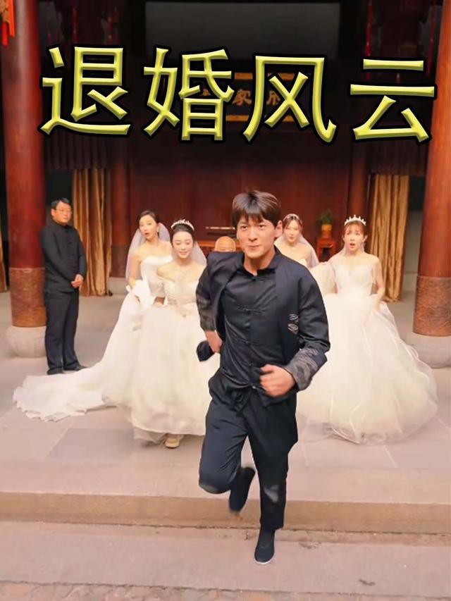 退婚风云封面