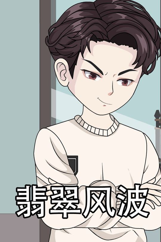 翡翠风波封面