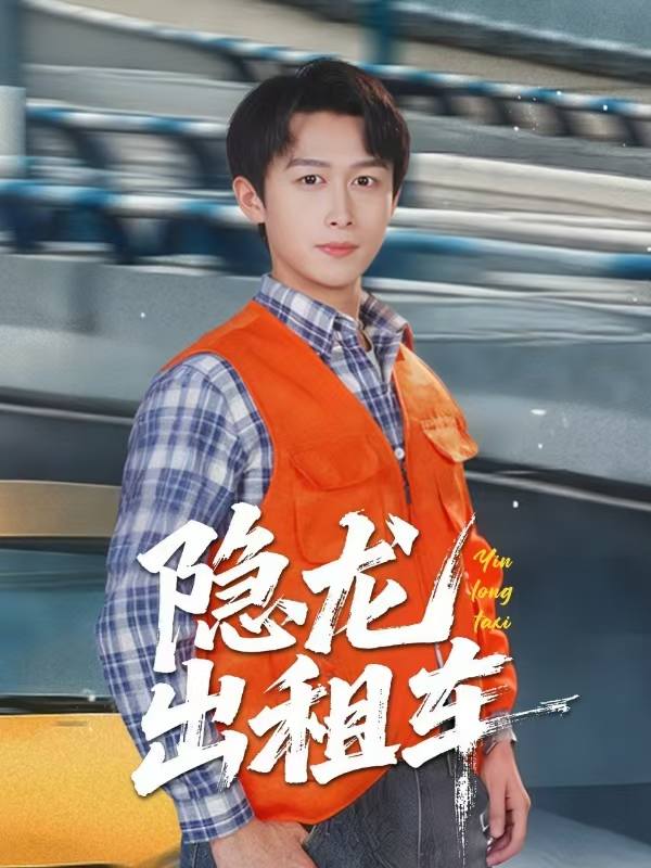 隐龙出租车封面