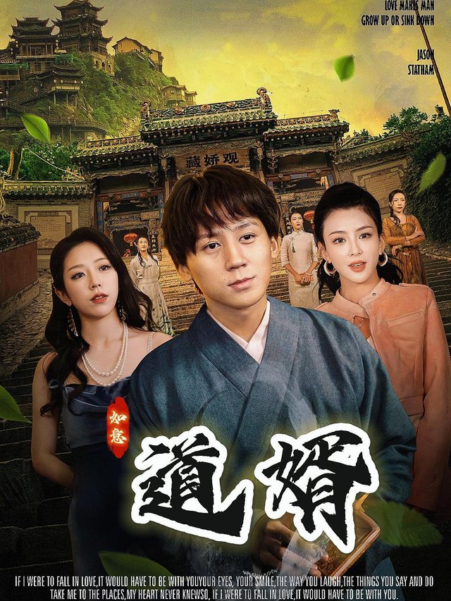 道婿封面