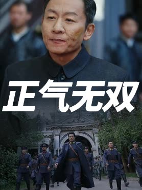 正气无双封面
