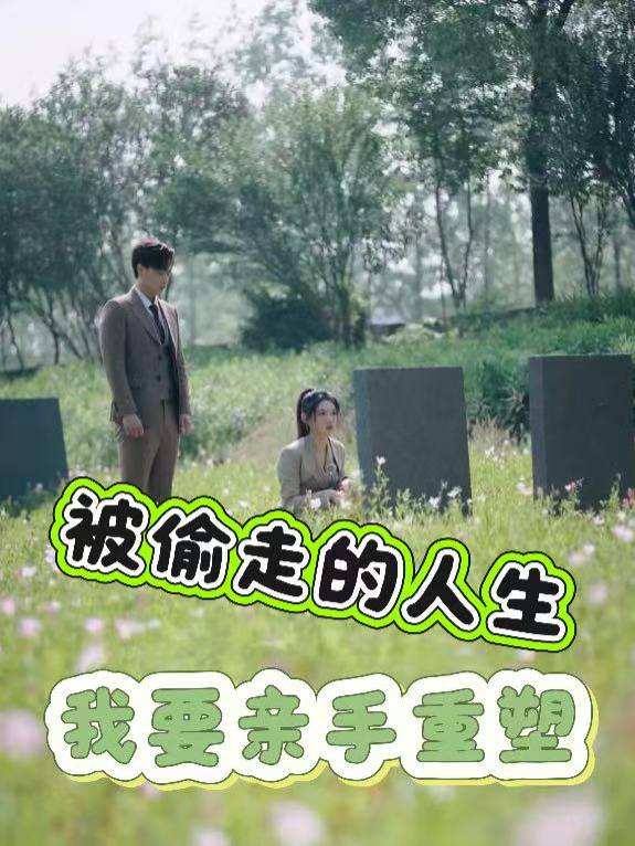被偷走的人生,我要亲手重塑封面