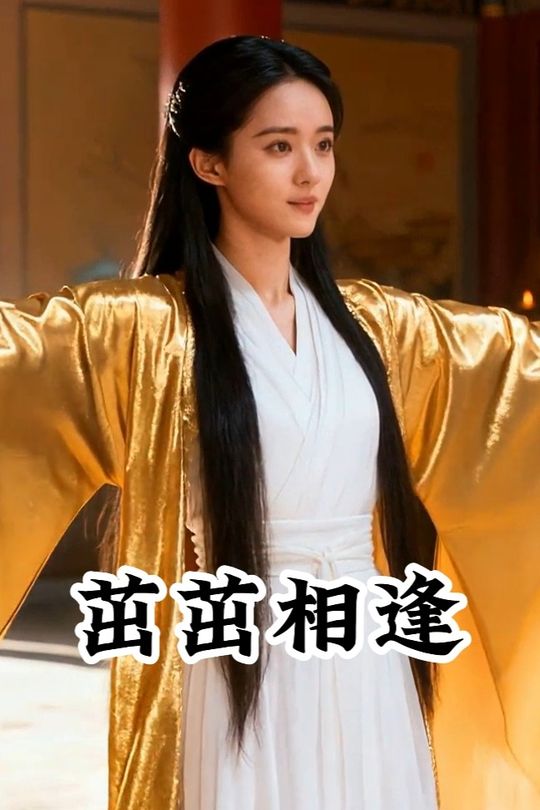 茁茁相逢封面