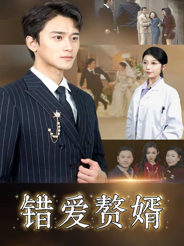 错爱赘婿封面