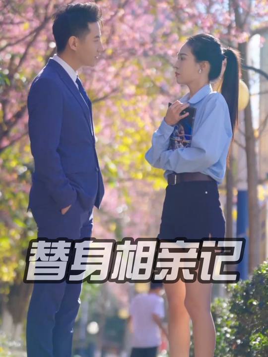 替身相亲记封面