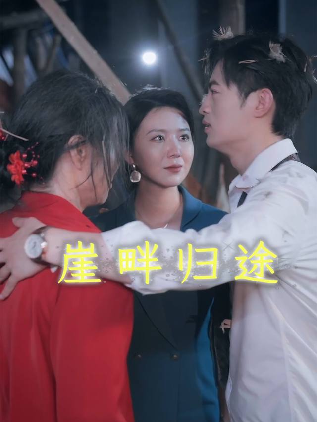 崖畔归途封面