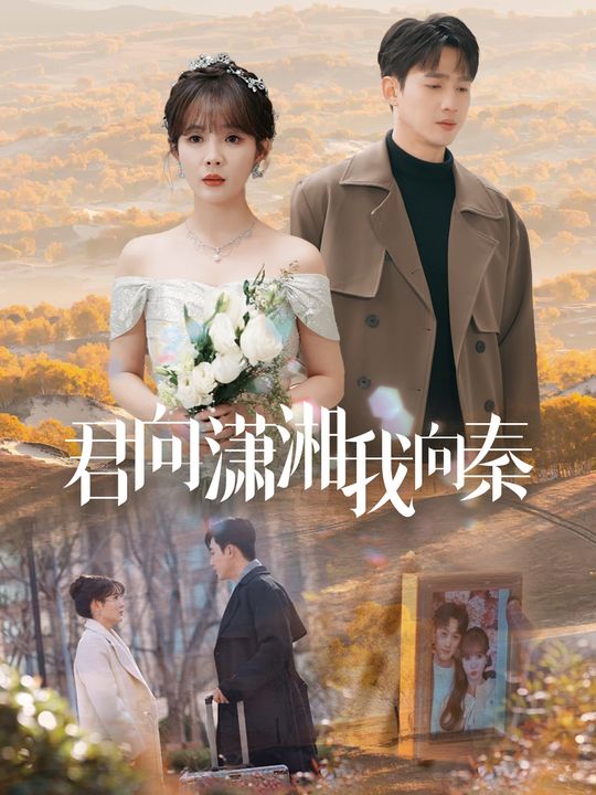 君向潇湘我向秦封面