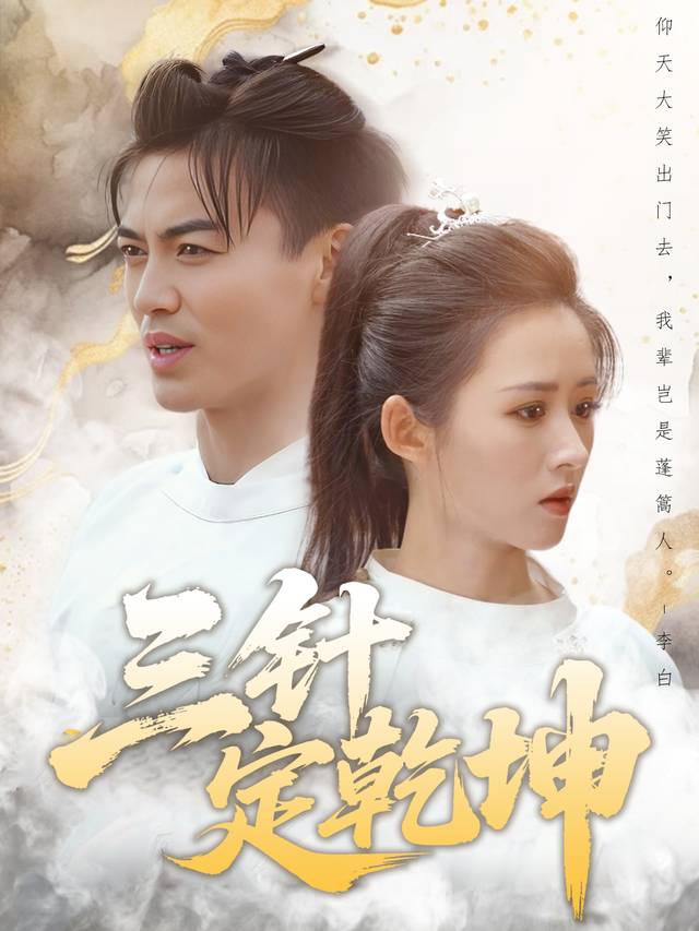 三针定乾坤封面