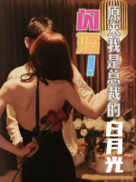 闪婚!原来我是总裁的白月光封面