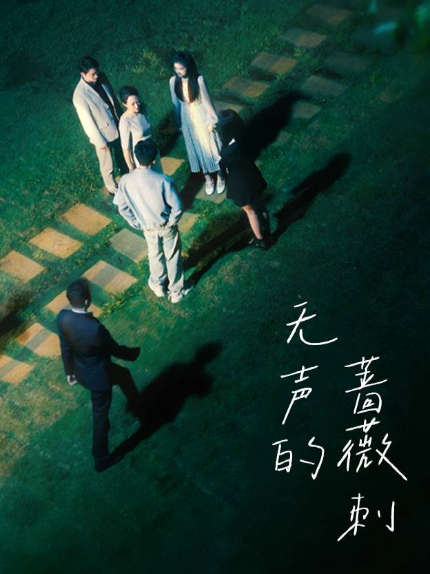 无声的蔷薇刺封面