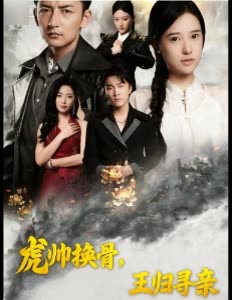 虎帅换骨,王归寻亲封面