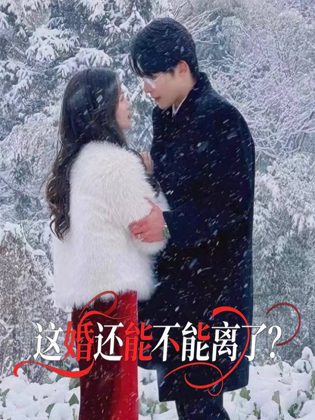 这婚还能不能离了?封面