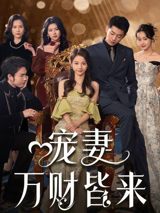 宠妻万财皆来封面
