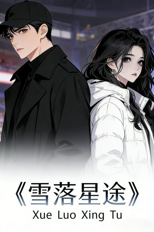 雪落星途封面
