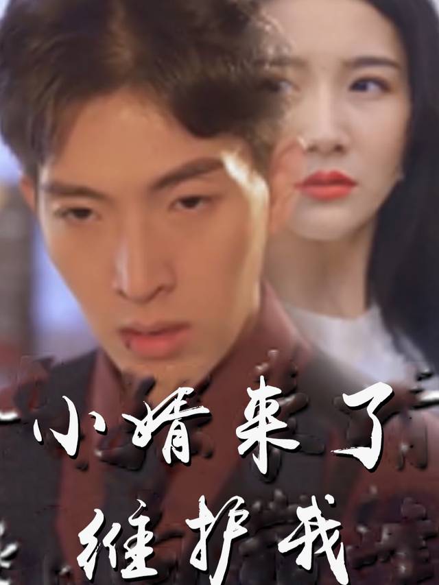 小婿来了维护我封面