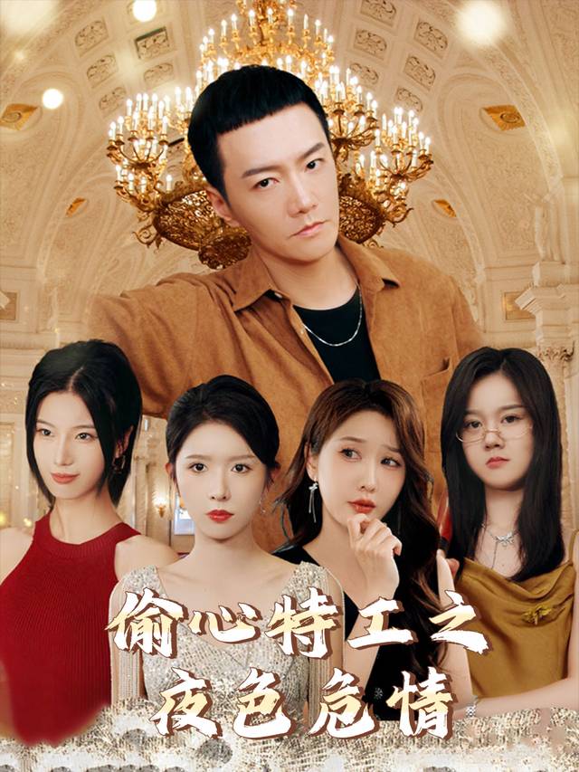 偷心特工之夜色危情封面