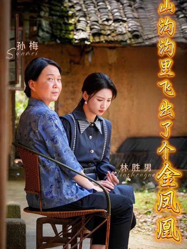 山沟沟里飞出了个金凤凰封面