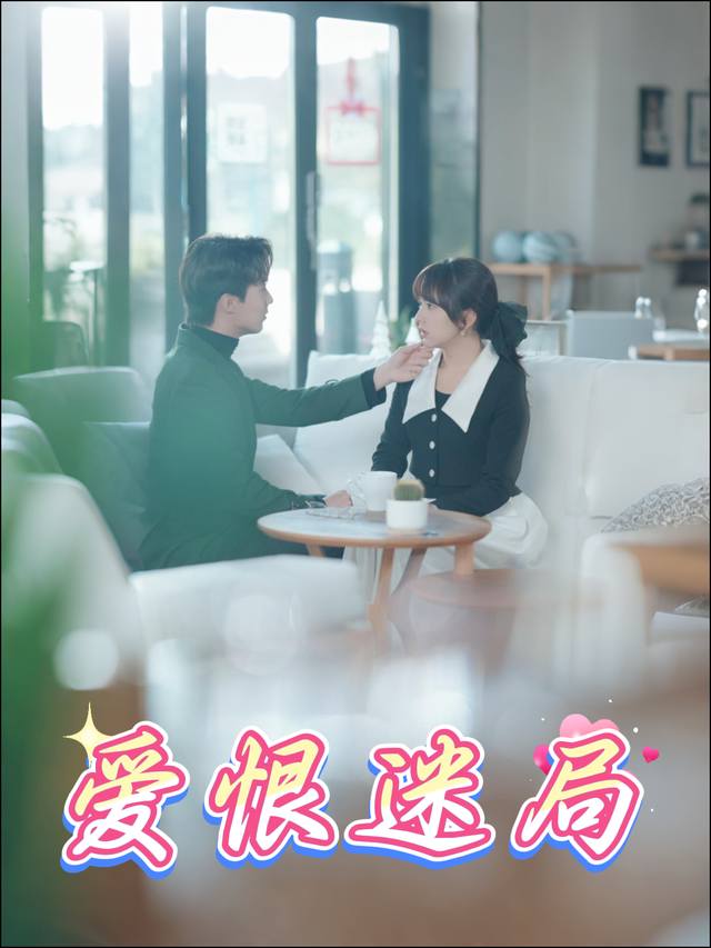 爱恨迷局封面
