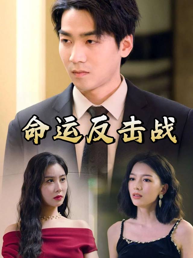 命运反击战封面