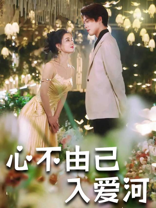 心不由己入爱河封面