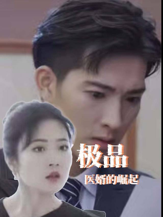 极品医婿的崛起封面