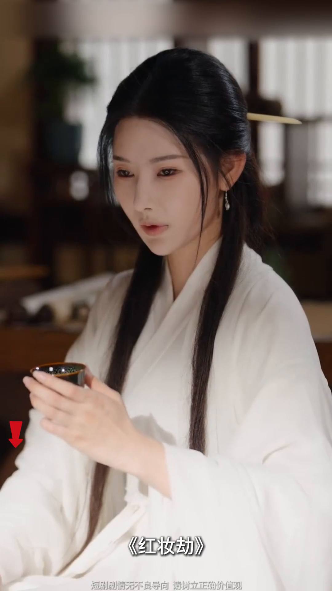 红妆劫封面