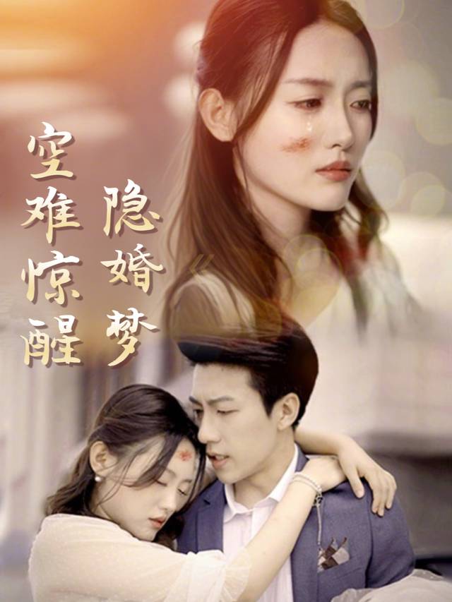 空难惊醒隐婚梦封面