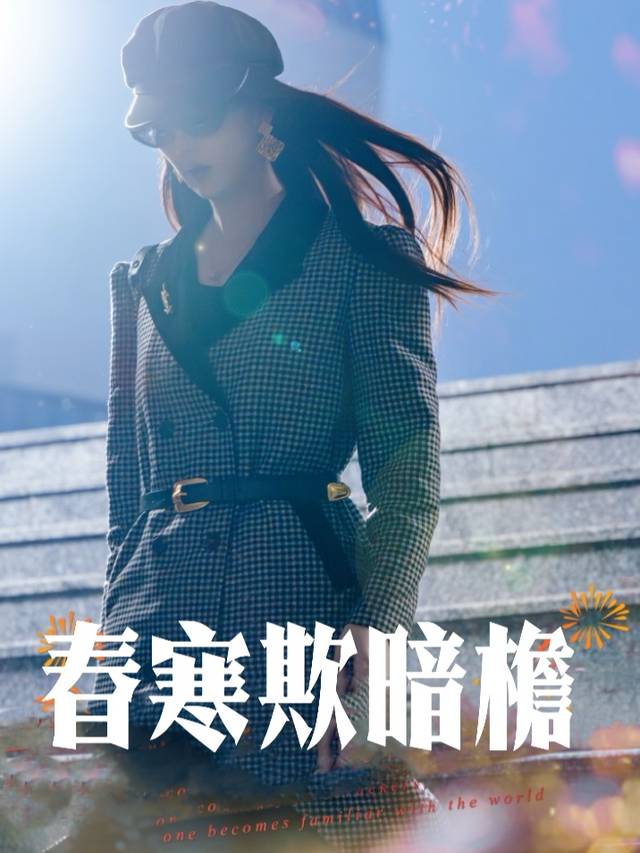 春寒欺暗檐封面