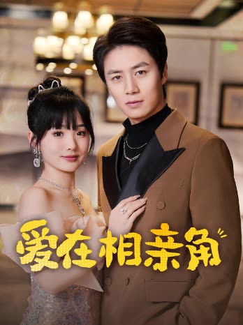 爱在相亲角封面