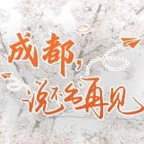 成都说不出再见封面