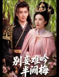 别妾难吟半阙梅封面