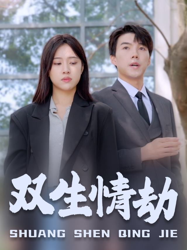 双生情劫封面