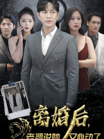 离婚后,老婆说她又心动了封面