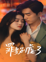 罪妻别虐了封面