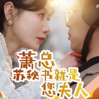 萧总苏秘书就是您夫人封面