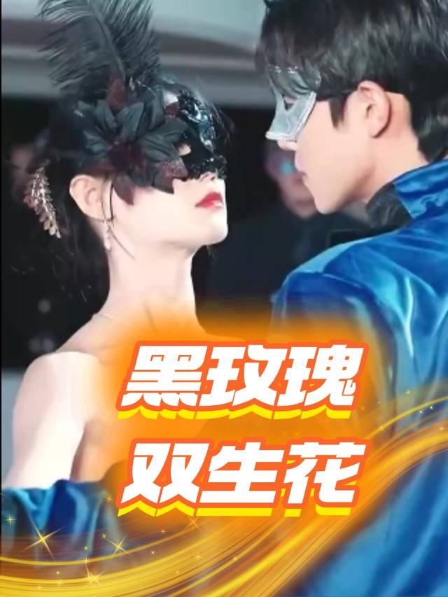 黑玫瑰双生花封面