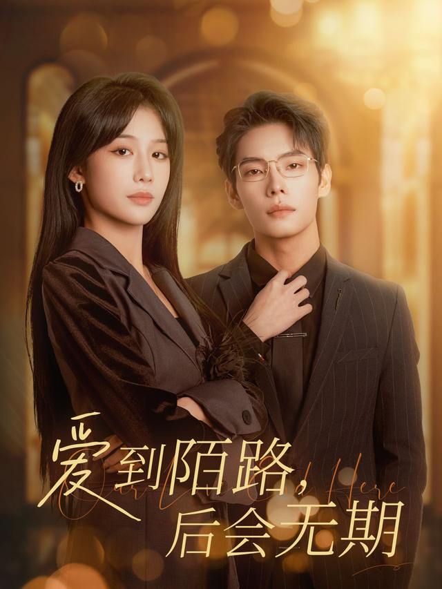 爱到陌路,后会无期封面
