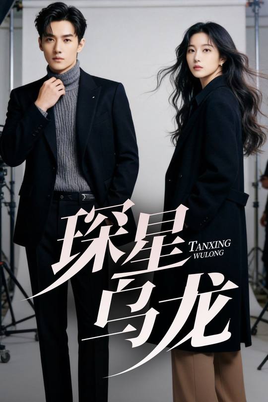 琛星乌龙封面