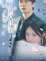 夫人是豪门大小姐封面