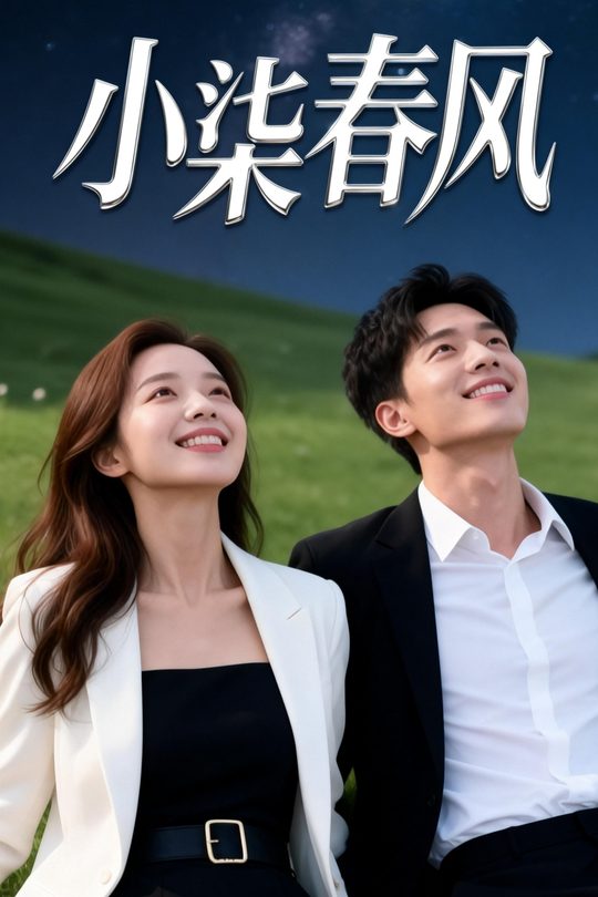 小柒春风封面