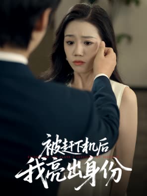 被赶下机后我亮出身份封面
