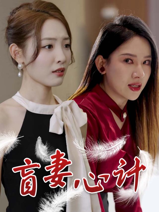 盲妻心计封面