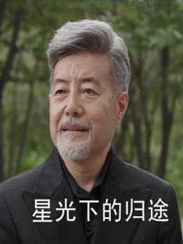 星光下的归途封面